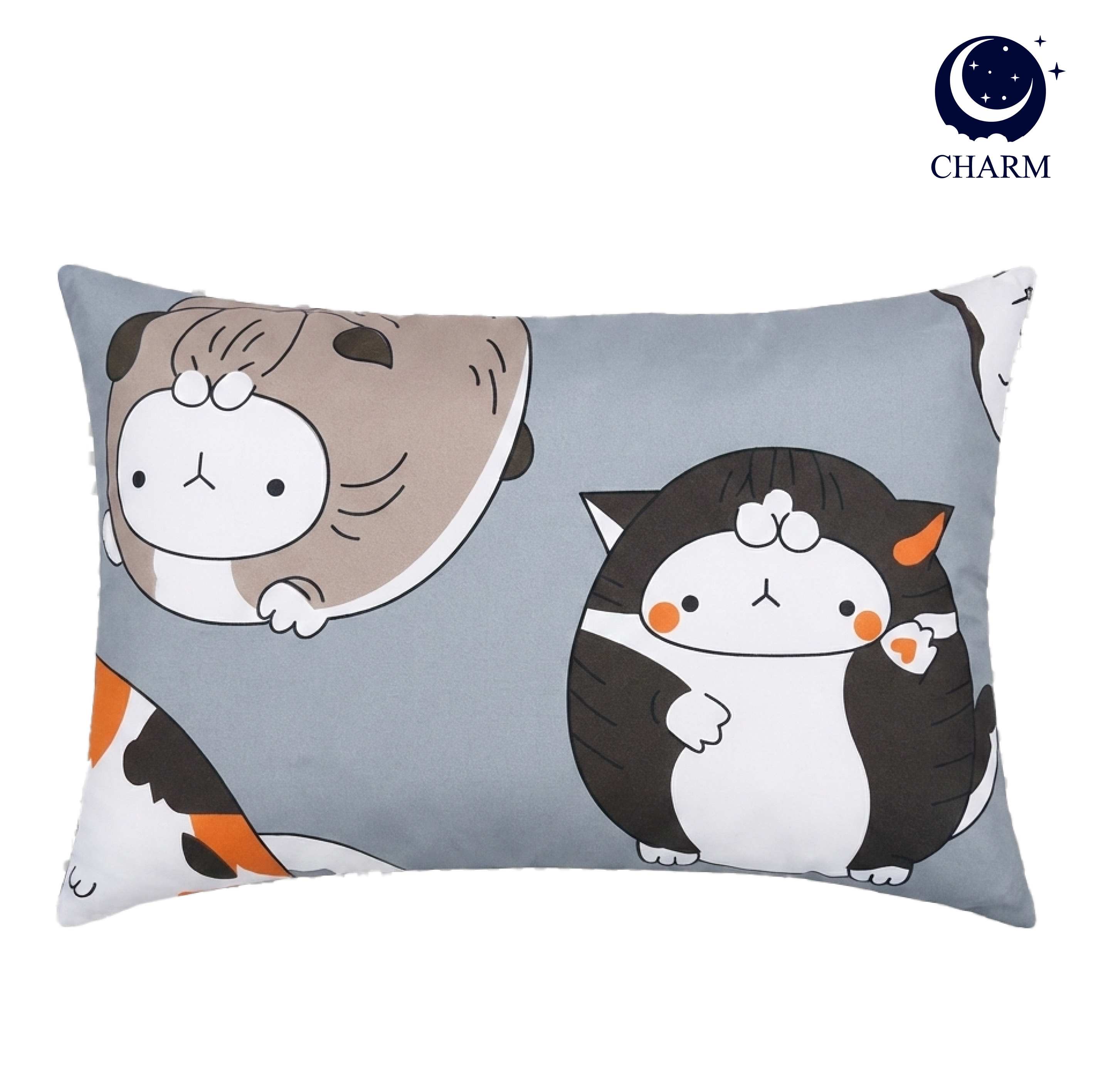 หมอน CHARM 1 ใบ (คละลาย) หมอนอเนกประสงค์ 35X50 ซม._3